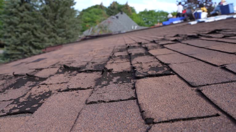  , USA Roofing Service Pros